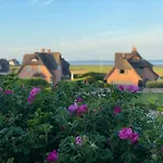 Wattblick App 6