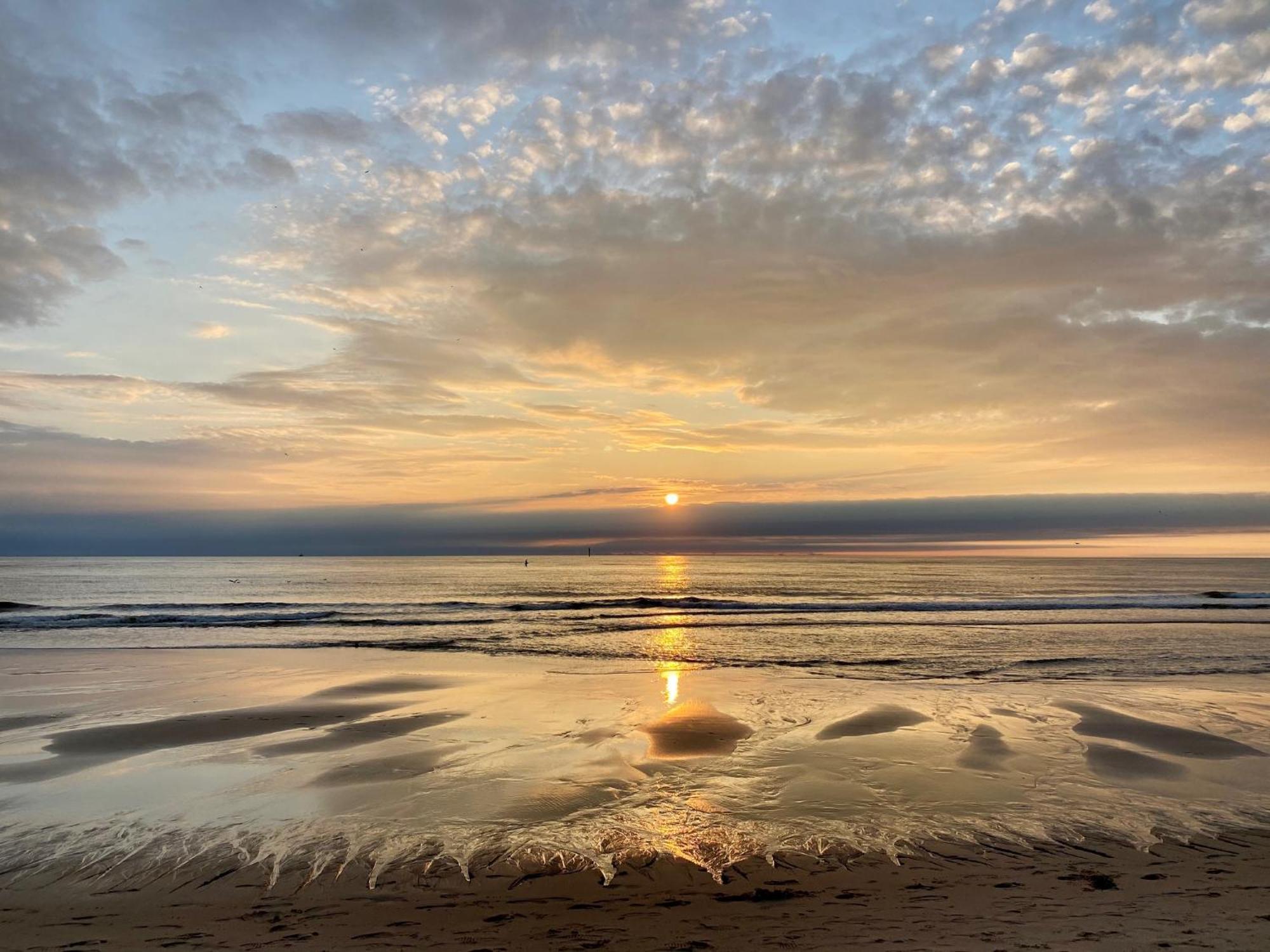 Wattblick App 6 * Rantum (Sylt)