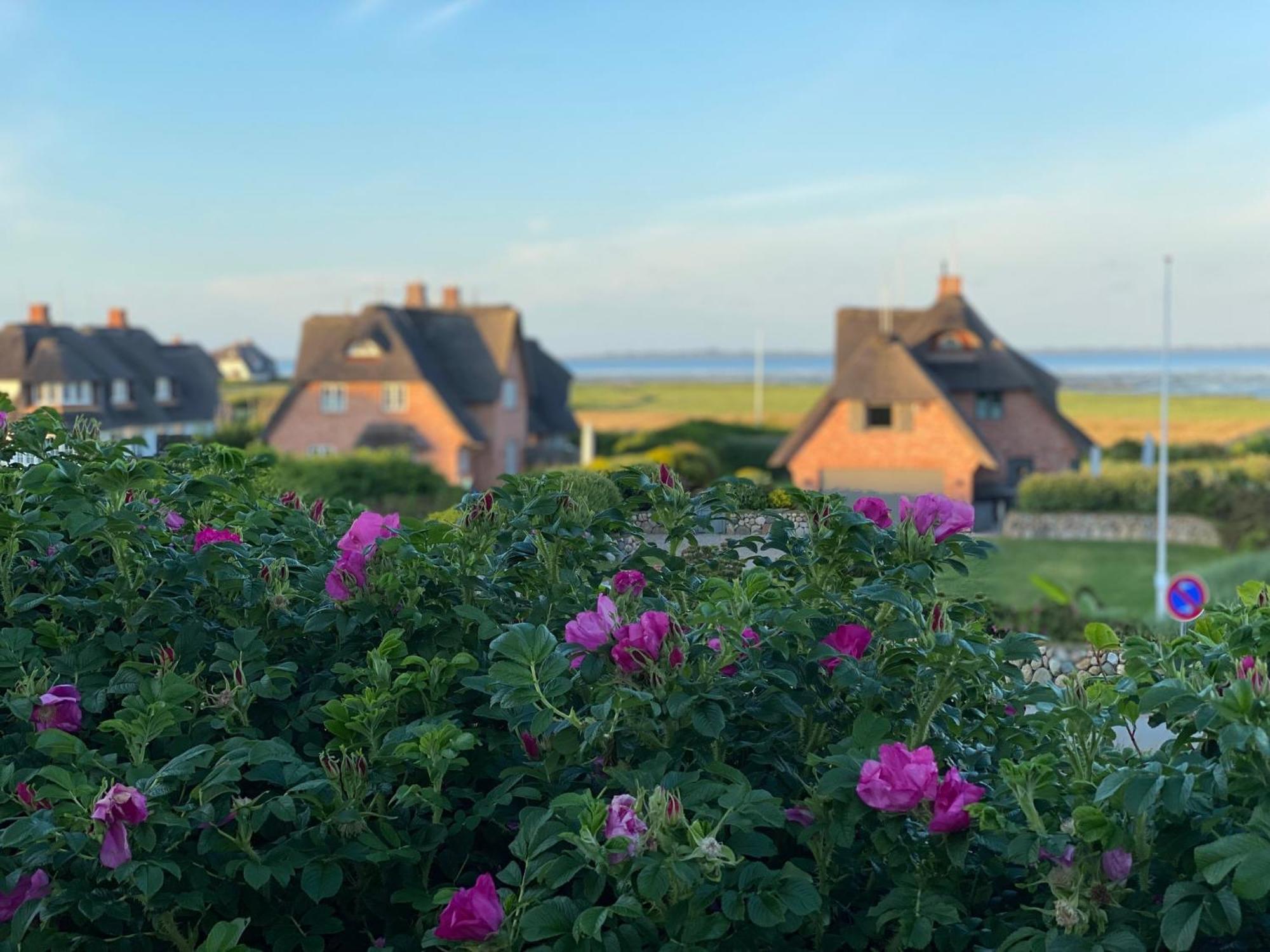 Wattblick App 6 Rantum (Sylt)
